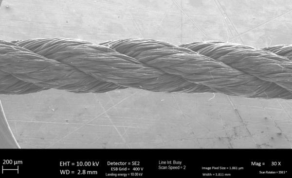 photo of The Trellis Climate Tech Startup of 2025 image