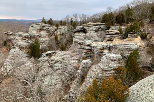 Bill Ensuring Active Management of Shawnee National Forest…