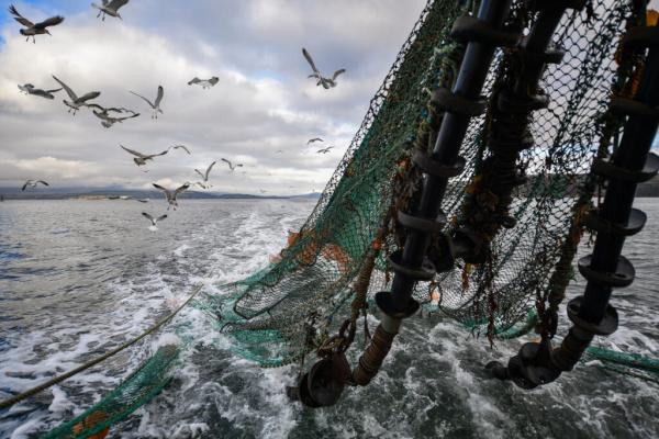 Federal Law Requires US Seafood Imports&hellip;