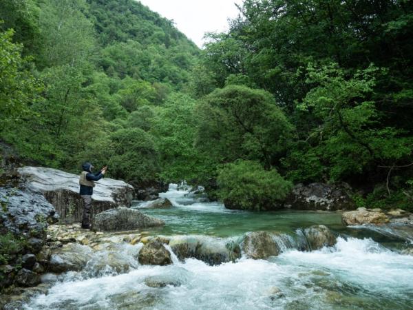 How Does Nature Contribute to the&hellip;