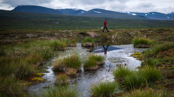 How a greening Arctic might be kick-starting a dangerous&hellip;