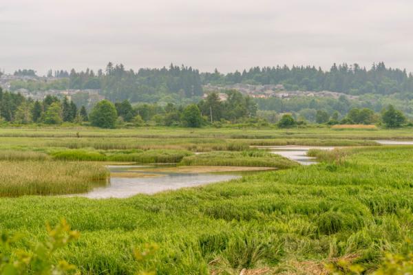 As Federal Wetlands’ Protections&hellip;