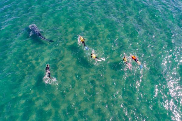 Marine Tourism in Mexico Remains…