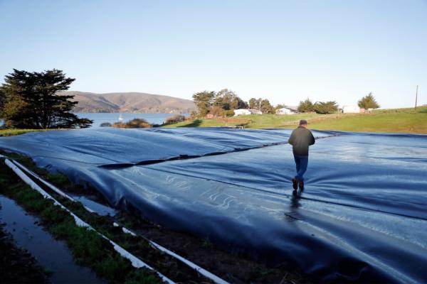 USDA Extends Pause on Loans for…