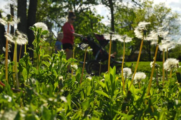 How Climate Change Makes Your Allergies&hellip;