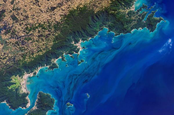 The tiny ocean organisms that could help…