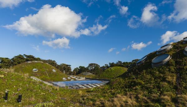The huge, untapped potential of planting rooftop gardens in&hellip;