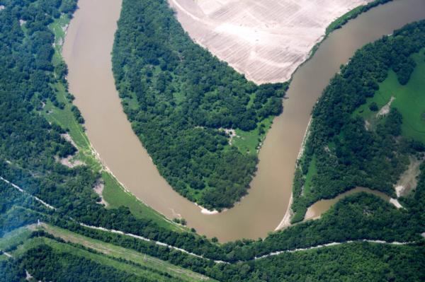 Forestry Carbon Credit Programs Have a…