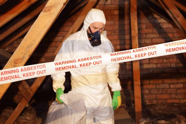 photo of A Triumph and Disgrace: The Very Slow Road to Banning Asbestos image
