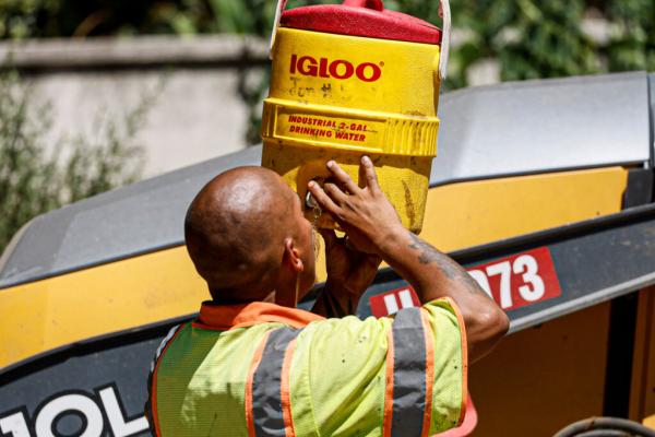 New Analysis Provides More Evidence That…