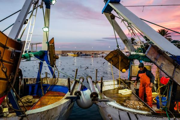 Top Ocean Experts Sound the Alarm Over…