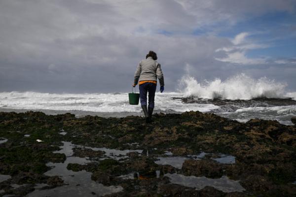 The World’s Oceans Are a ‘Ticking…