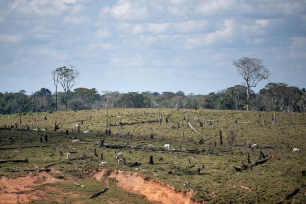 As China Touts Green Financing and…
