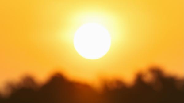 How the planet fared in 2025 — the…