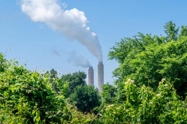  The True Cost of Pretending Climate Change Doesn’t Exist