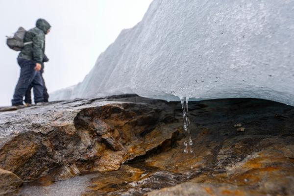 Temperatures and Carbon Emissions…
