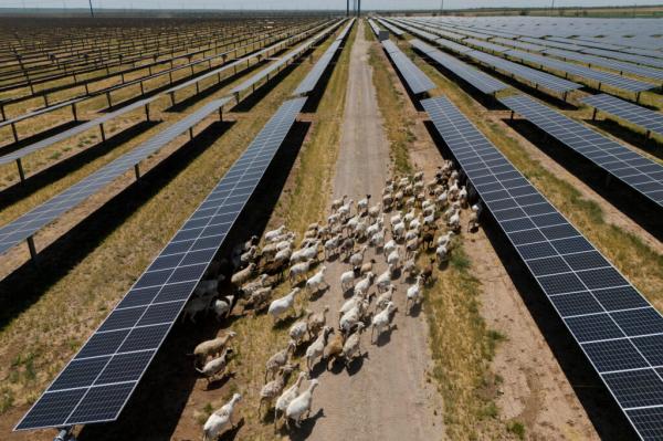 Texas’ Risk of Summer Blackouts…