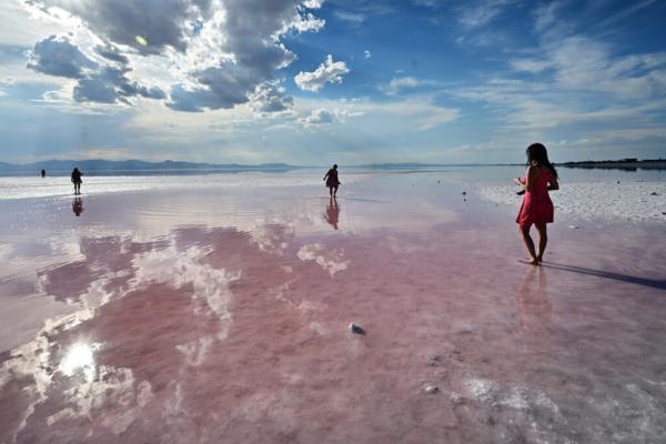 Lessons From Salt Lakes for Making a…