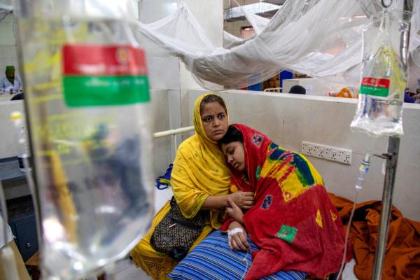 Global Warming Is Fueling Dengue Fever…