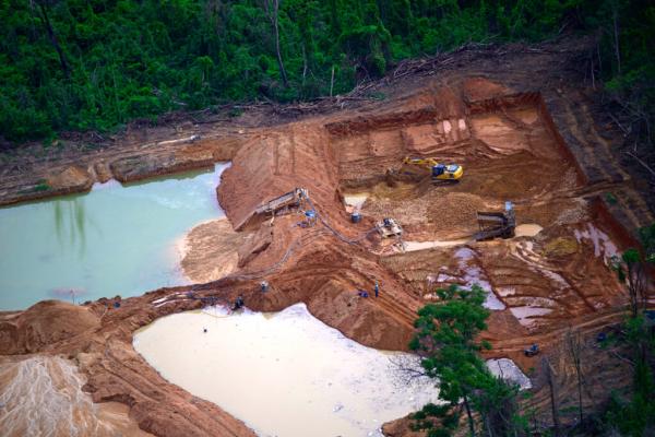 UN Human Rights Experts and Scientists…