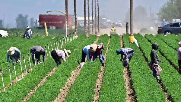 Trump’s USDA tried to erase climate…