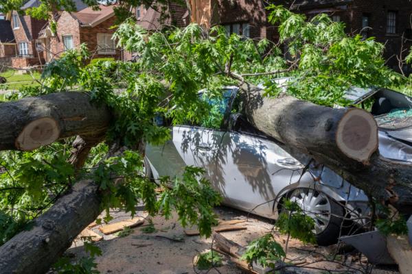 Hurricane and Tropical Storm Remnants…