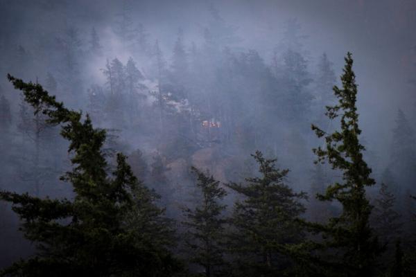 The Tricky Problem of ‘Zombie’ Fires