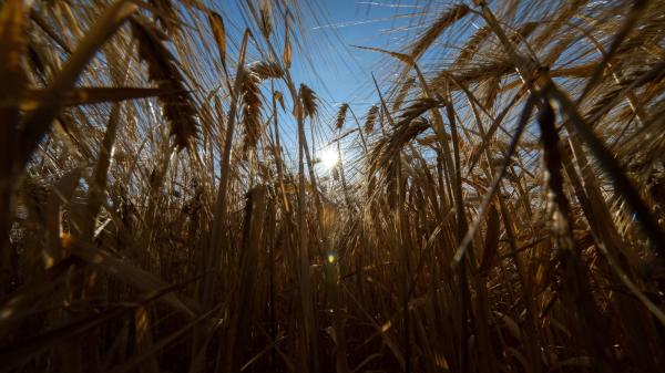 What does climate change mean for…