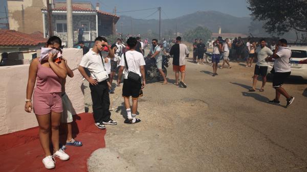 ‘A devastating global audit’ shows…