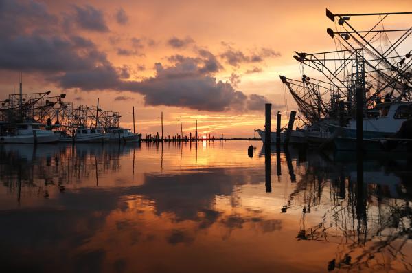 On Louisiana’s Gulf Coast, residents…