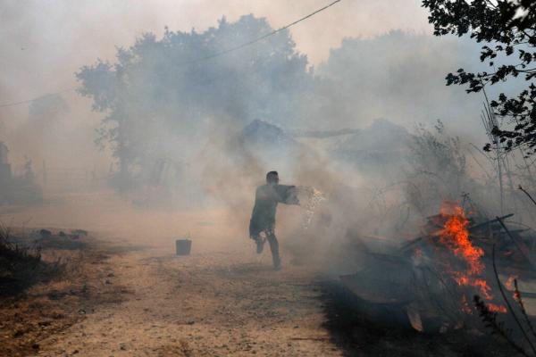 Warming Triggers a Chain Reaction of&hellip;