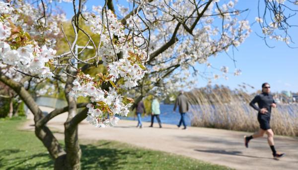 Your local park is bringing in the green&hellip;