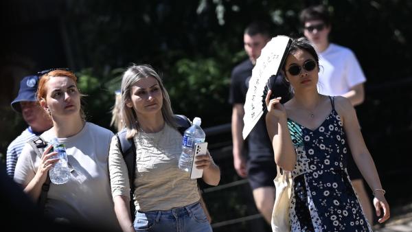 Yes, this summer really was as hot as&hellip;