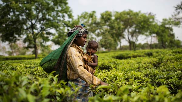 How climate change endangers mothers and…
