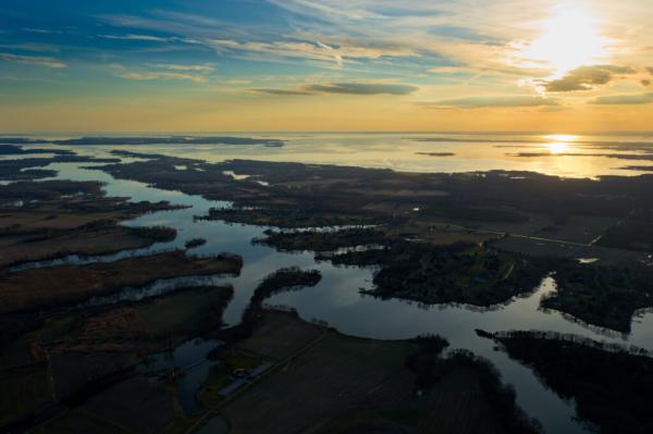 photo of Pharmaceutical Pollution Is Widespread Across the World’s Waterways image
