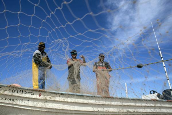 photo of America Is Policing Foreign Waters, but Gutting Domestic Protections image