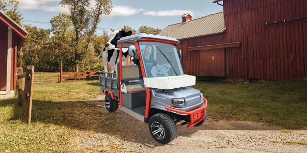This $2,000 Chinese pickup truck golf…