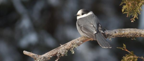 Local communities join global push to&hellip;