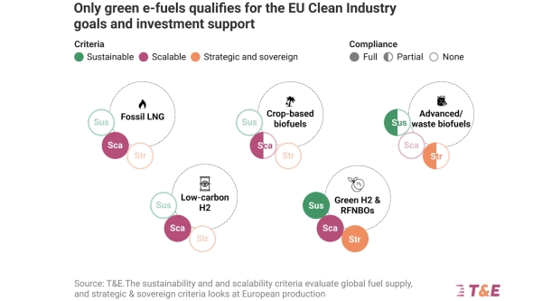 photo of Which Fuels Should the EU Back for Shipping? image