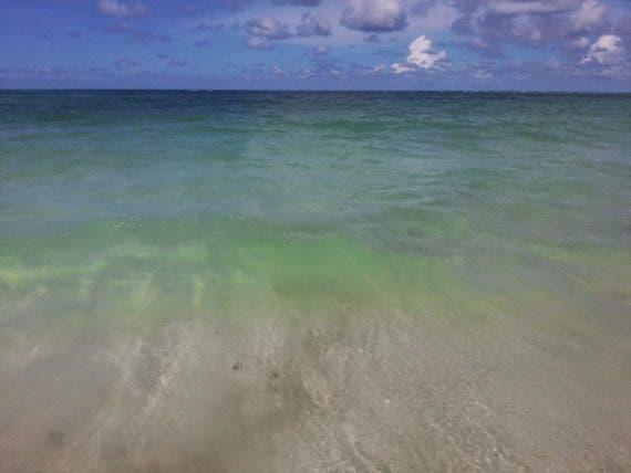 photo of U.S. Interior Department Puts ~$249 Million Into Gulf State Coastal Conservation, Restoration, & Hurricane Protection image