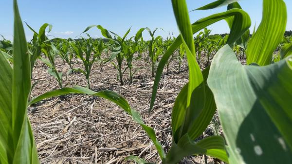 photo of Ohio Farmers Say Regenerative Agriculture Methods Helped Them Survive a Drought. State and Federal Leaders Are Slashing&hellip; image