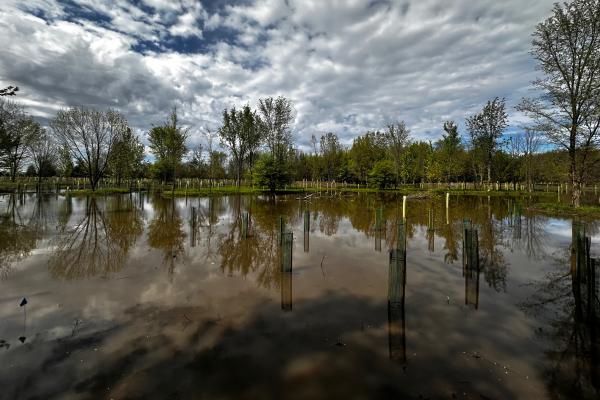 Ohio Has Invested Millions in Wetlands…
