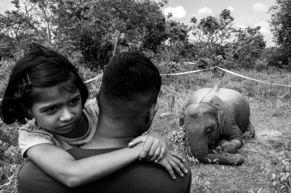 Photographing Sri Lanka’s&hellip;