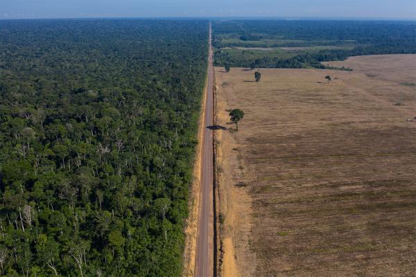 Banks must step in before the Amazon Soy&hellip;