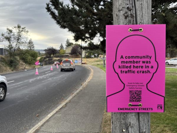 Steal This Idea: ‘Emergency Streets’&hellip;
