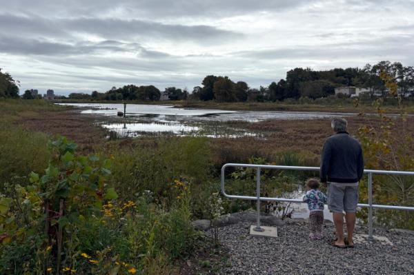 Why NYC Is Spending Millions on…