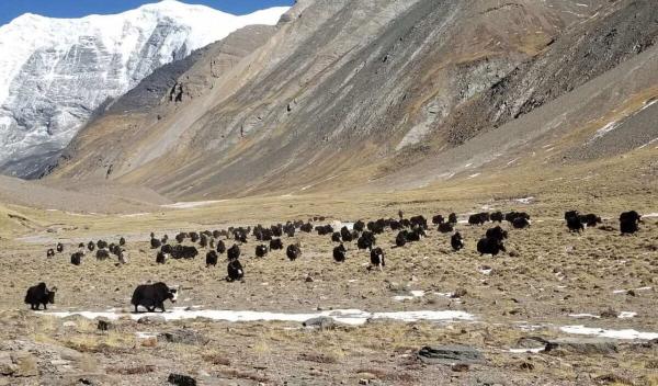 Climate change, socioeconomic shifts&hellip;