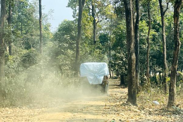 Chitwan city using Indo-Nepal wildlife…