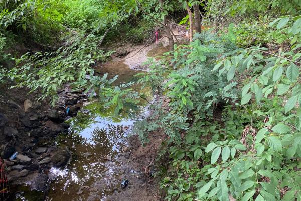 photo of North Carolina Sues Chemical Company for Polluting a Nearby Creek image