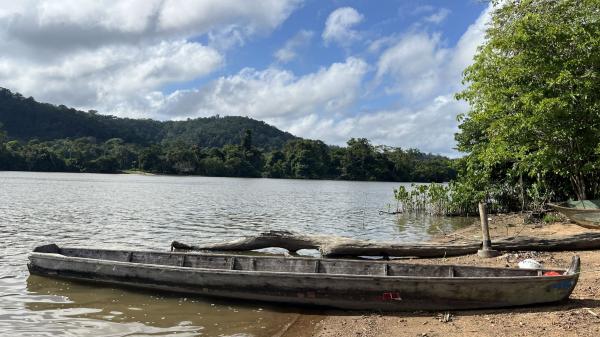 In Suriname’s Amazon, the Wayana…
